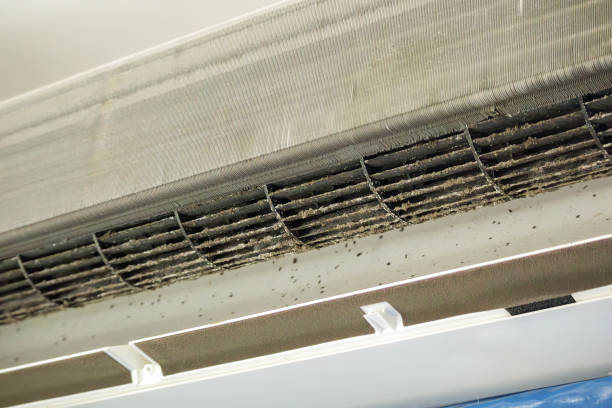 Best Ductwork Cleaning Services  in St James, MO